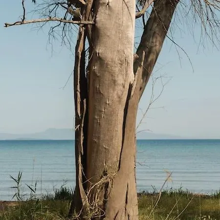 Domus Del Mare * Λευκίμμη